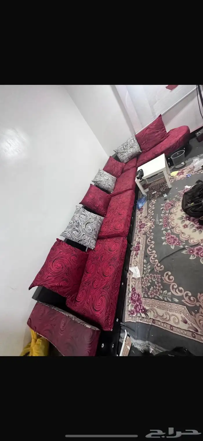 انترية ركنة 0