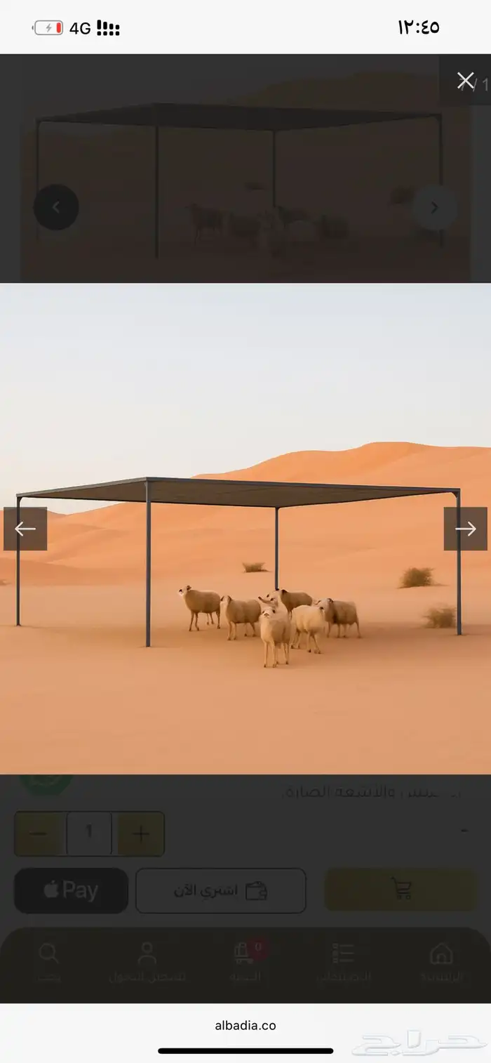 تفصيل مضلات أبل و غنم 1