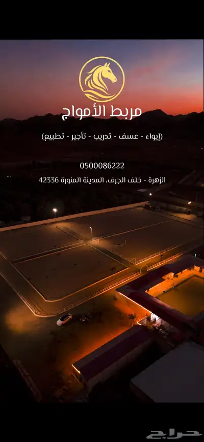 خيل 0