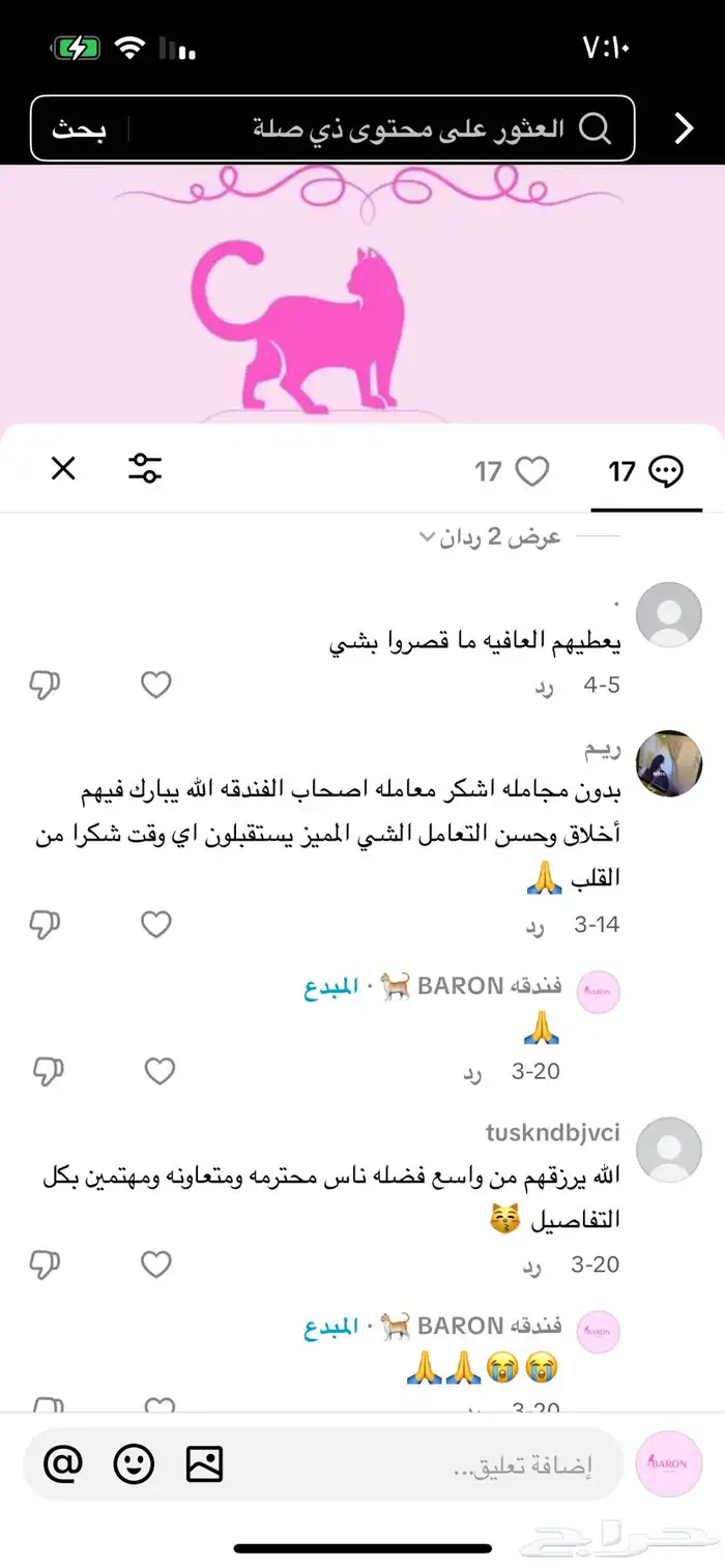 فندقه قطط 3