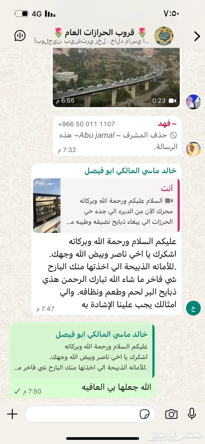 طليان طيبه وفل شحم مشاءالله 6