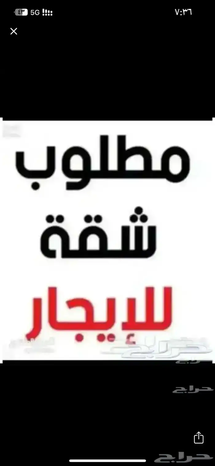 مطلوب شقة عزاب 0