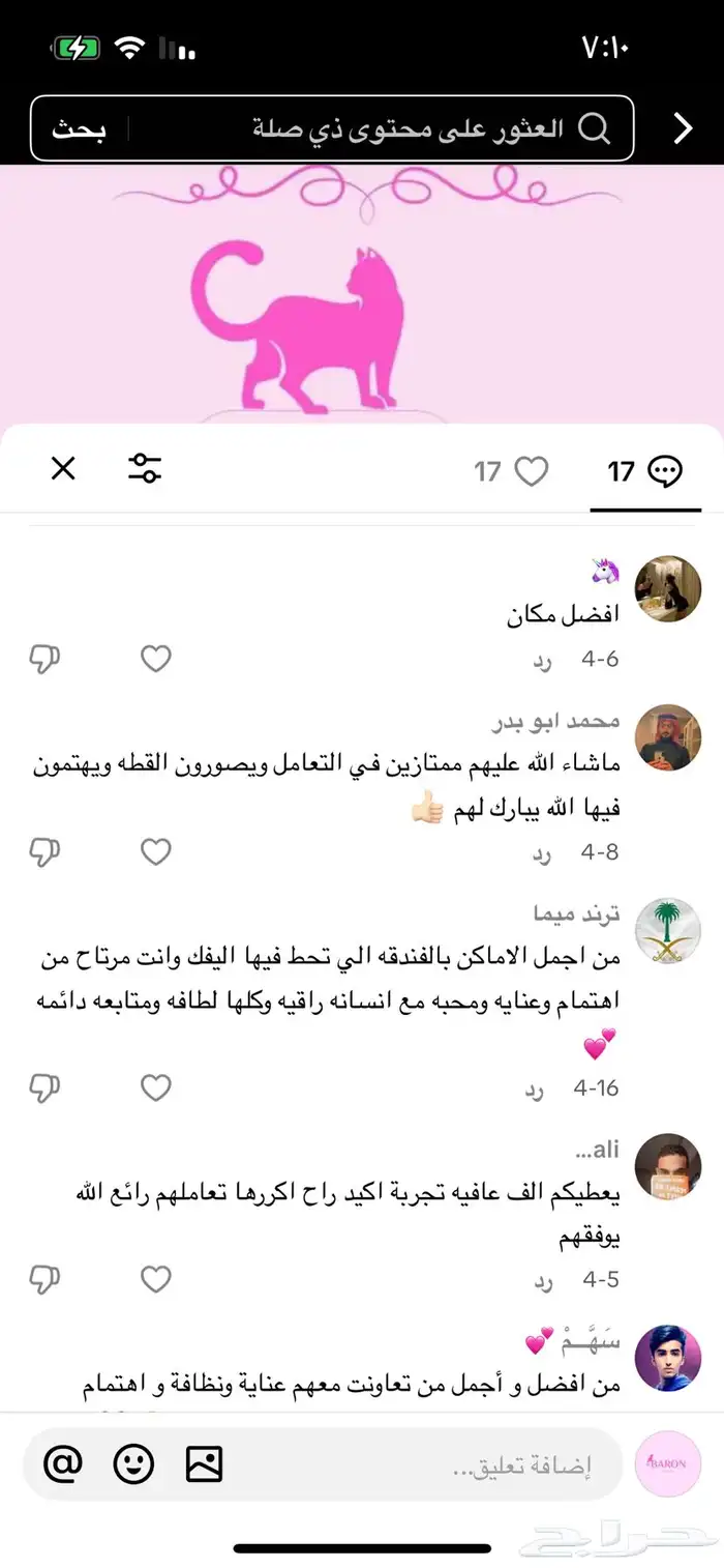 فندقه قطط 4