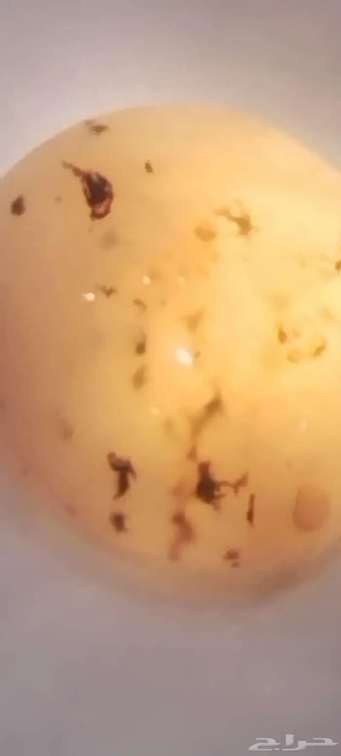 نوادر حجر العقيق اليمني المصور 27