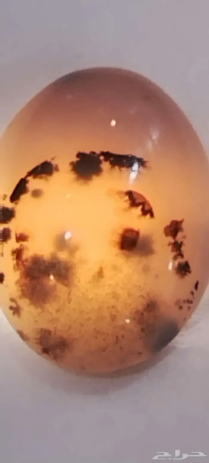 نوادر حجر العقيق اليمني المصور 45