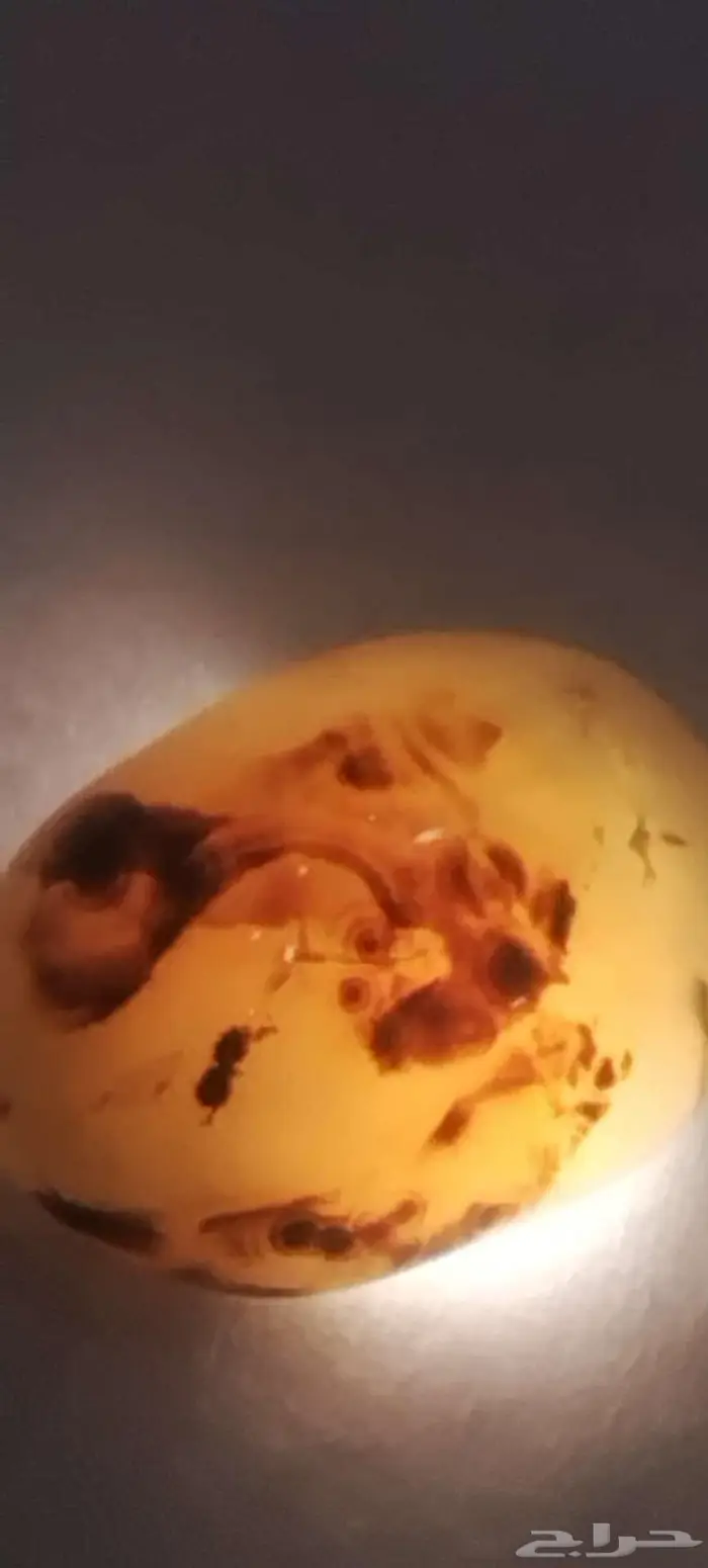 نوادر حجر العقيق اليمني المصور 40