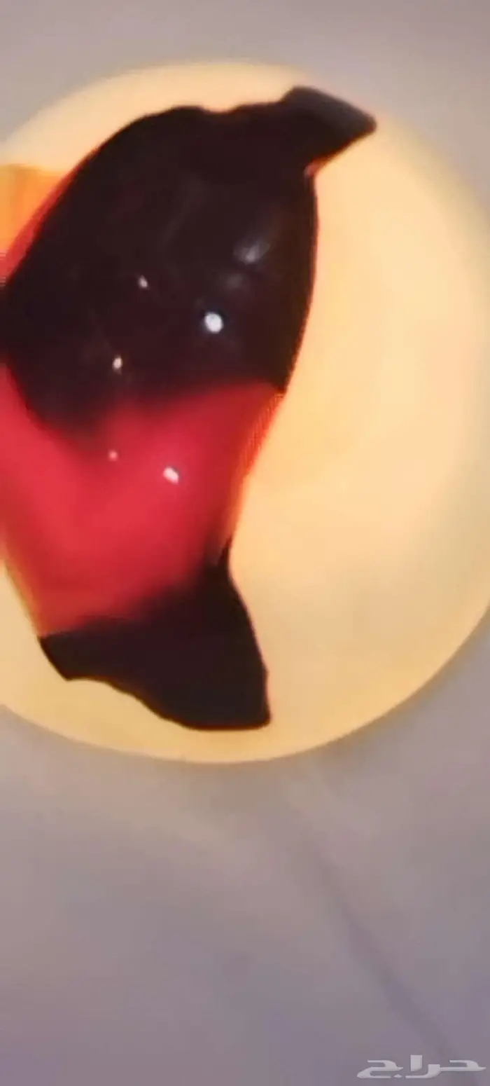 نوادر حجر العقيق اليمني المصور 33