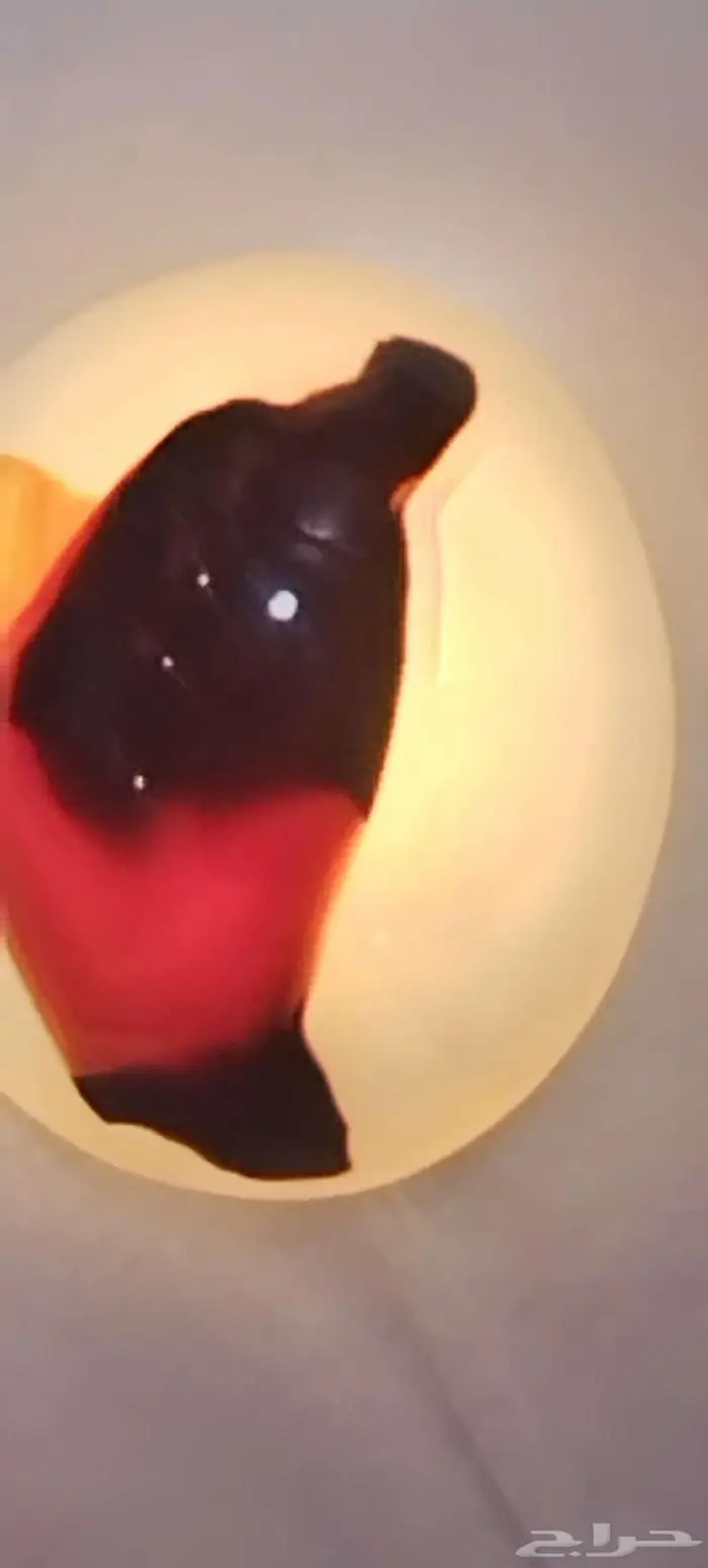 نوادر حجر العقيق اليمني المصور 47