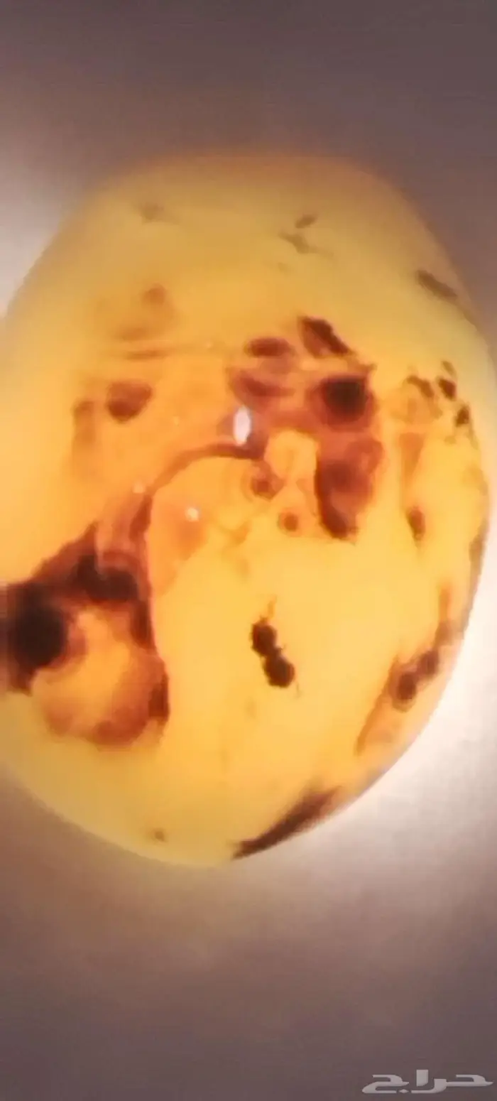 نوادر حجر العقيق اليمني المصور 68