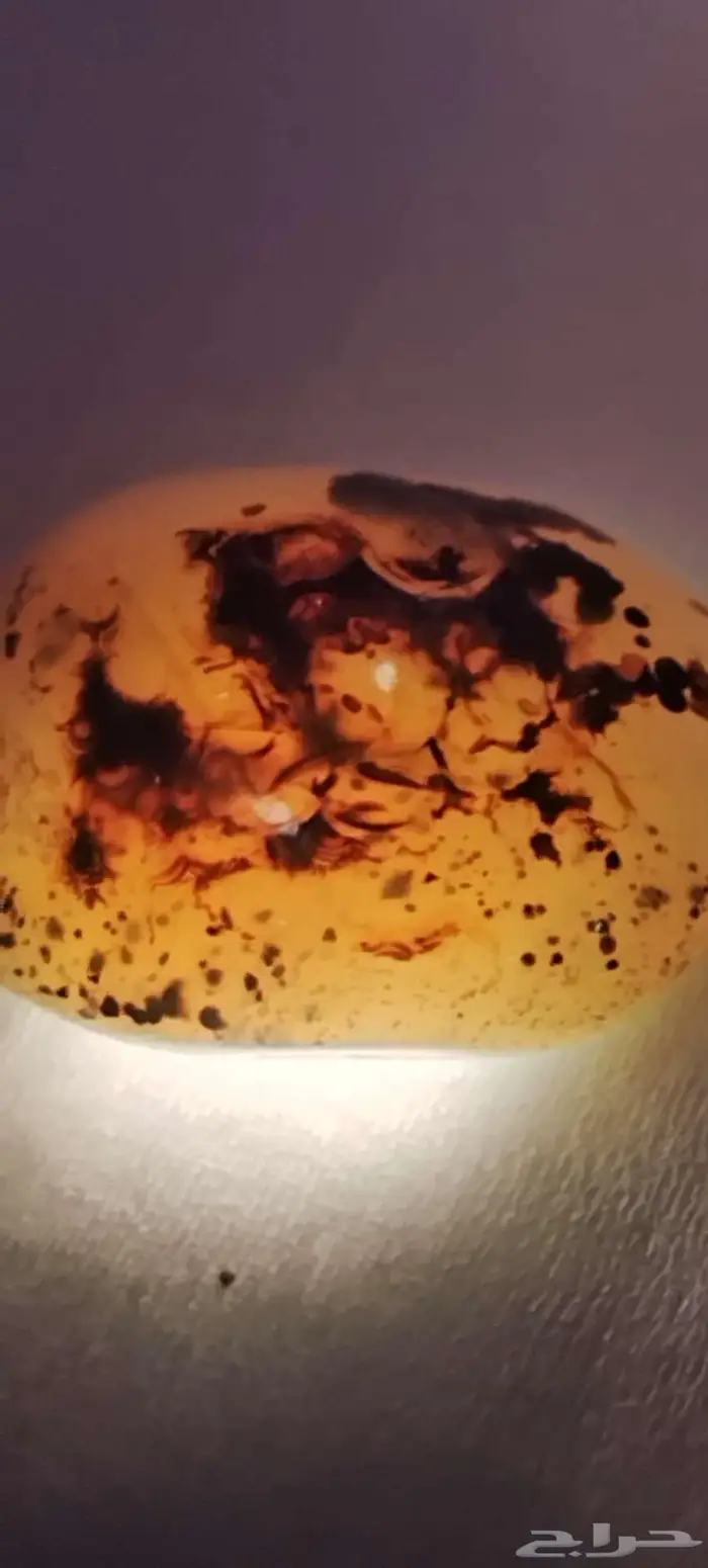 نوادر حجر العقيق اليمني المصور 11