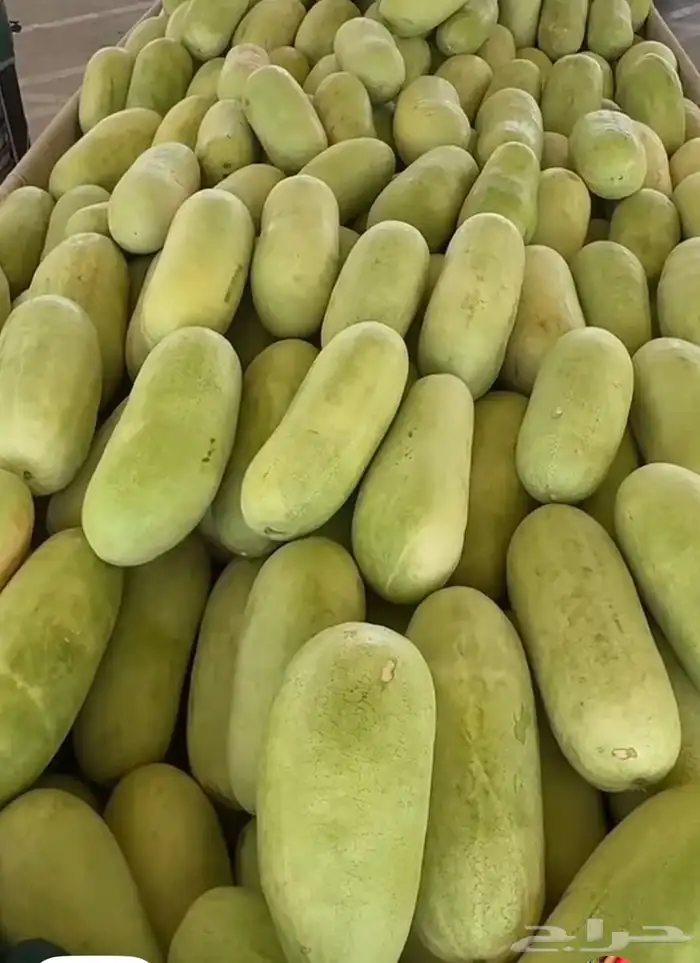 حبحب من الجوف طازة وشرط سكر واحمر 5