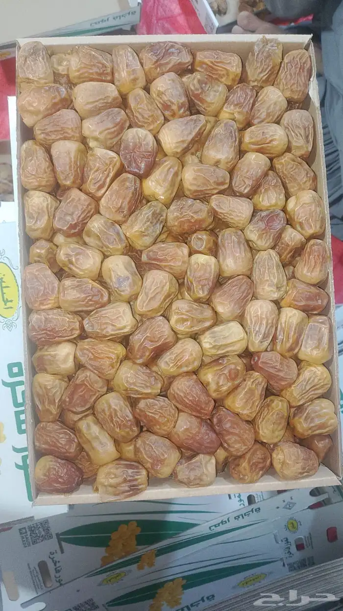 تمر للبيع خراف هذي ألسنه 1