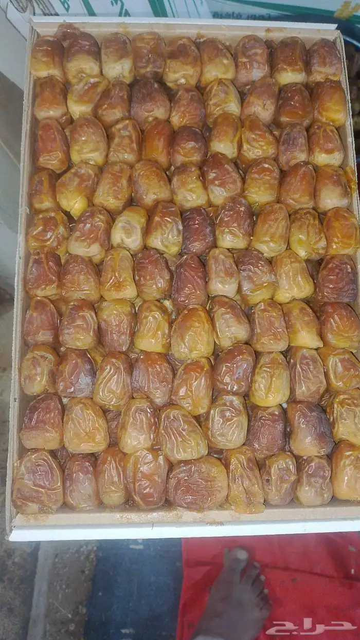 تمر للبيع خراف هذي ألسنه 2