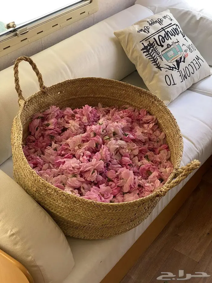 (فرصه استثمار) كرفان أوروبي 3