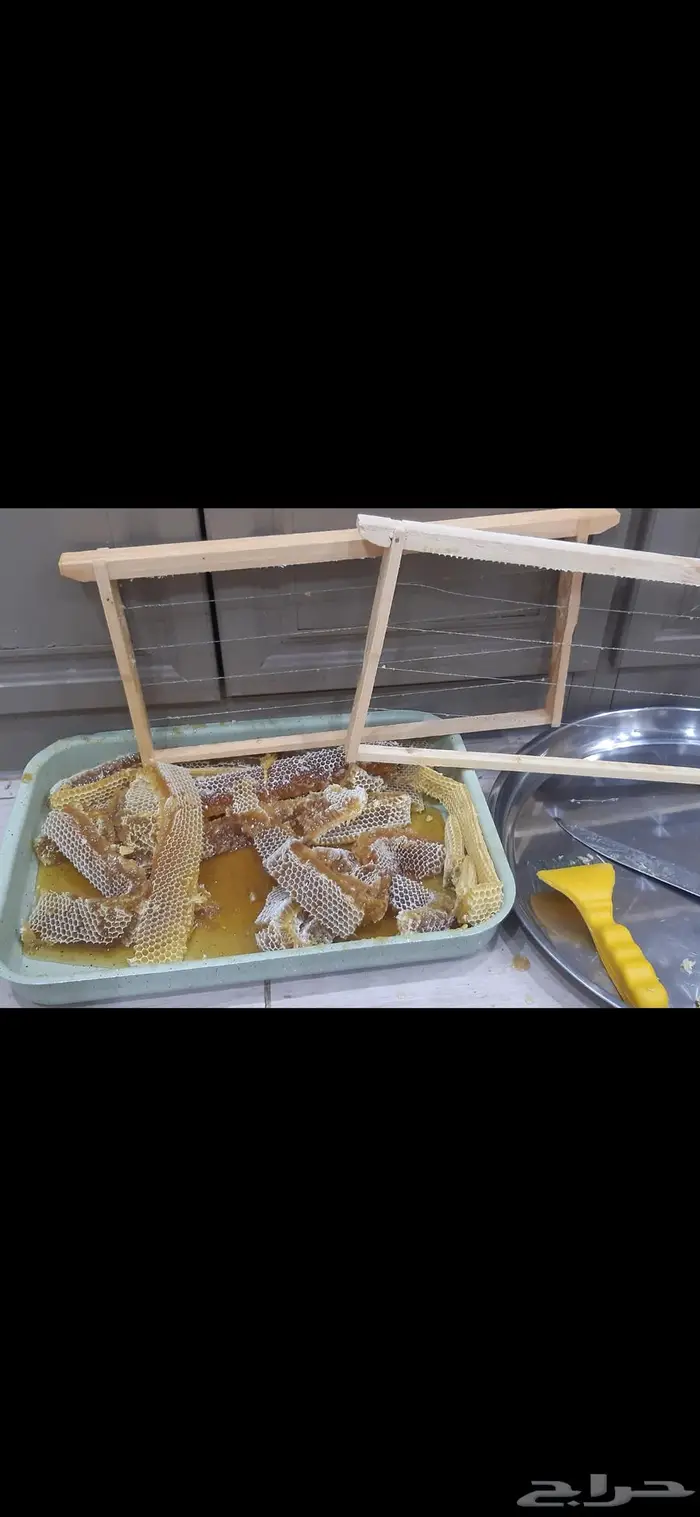 للبيع عسل أصلي بشمعة ربع كيلو فرز جديد 1