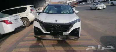 دونغ فينق ميغ 2025 فل كامل وارد التوكيلات index