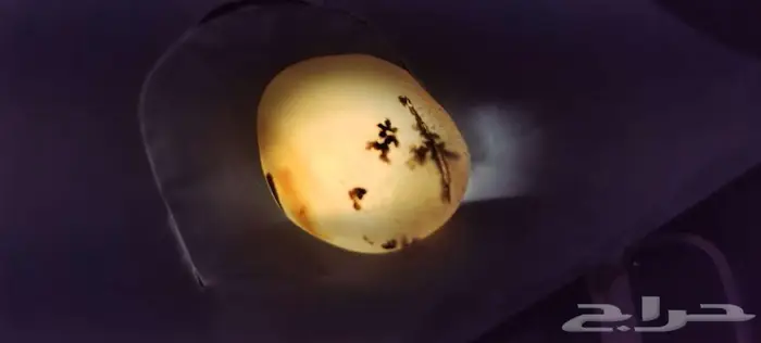 نوادر حجر العقيق اليمني المصور 10