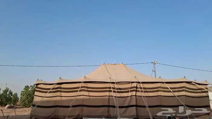 بيت شعر المقاس تقريبا 10 10 0