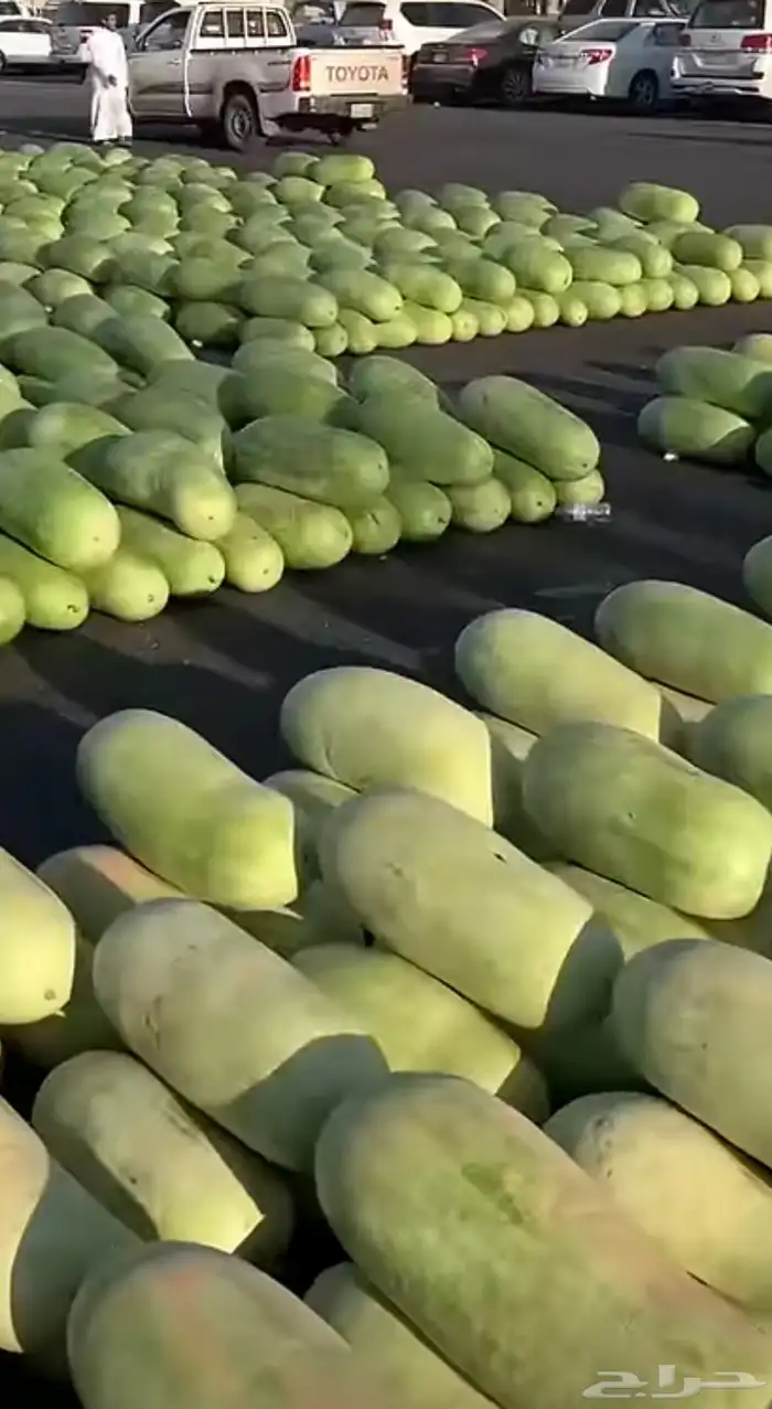 حبحب من الجوف طازة وشرط سكر واحمر 1