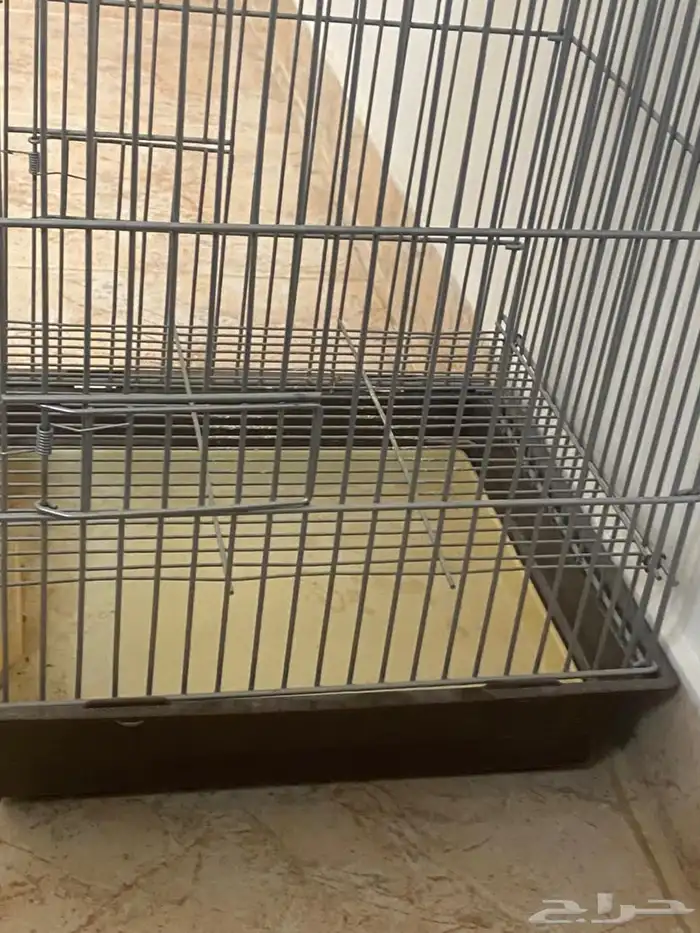 قفص طيور نضيف 2