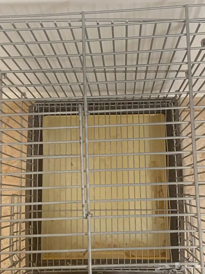 قفص طيور نضيف 1