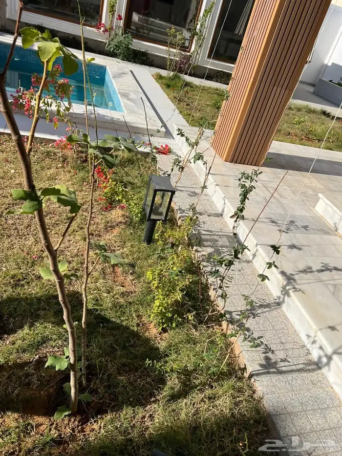 تنسيق حدائق منزليه 37