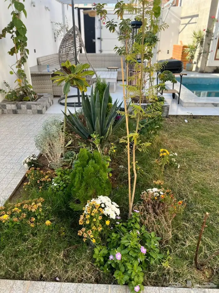 تنسيق حدائق منزليه 36