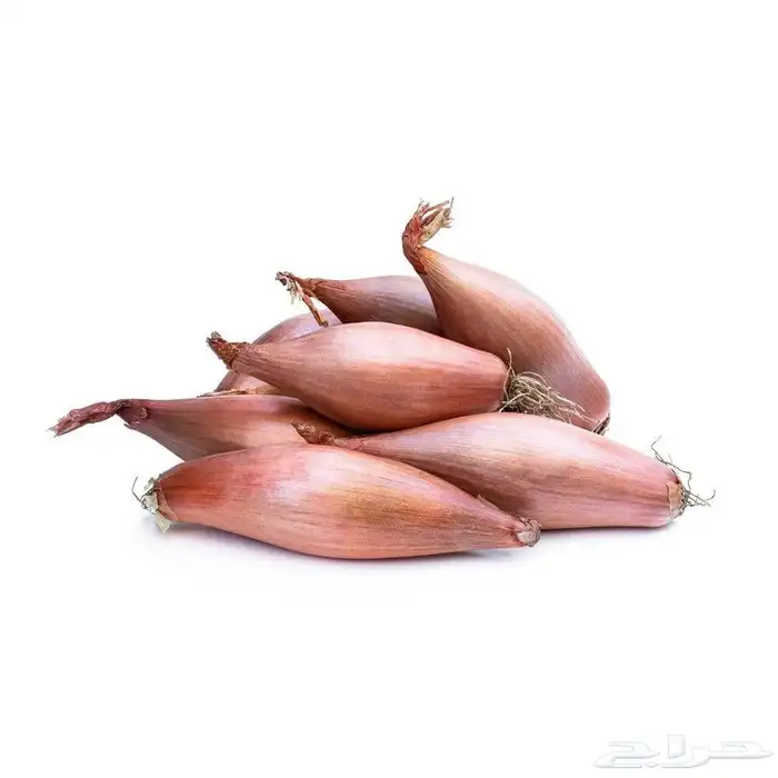 بذور بصل حساوي 1 كيلو 1