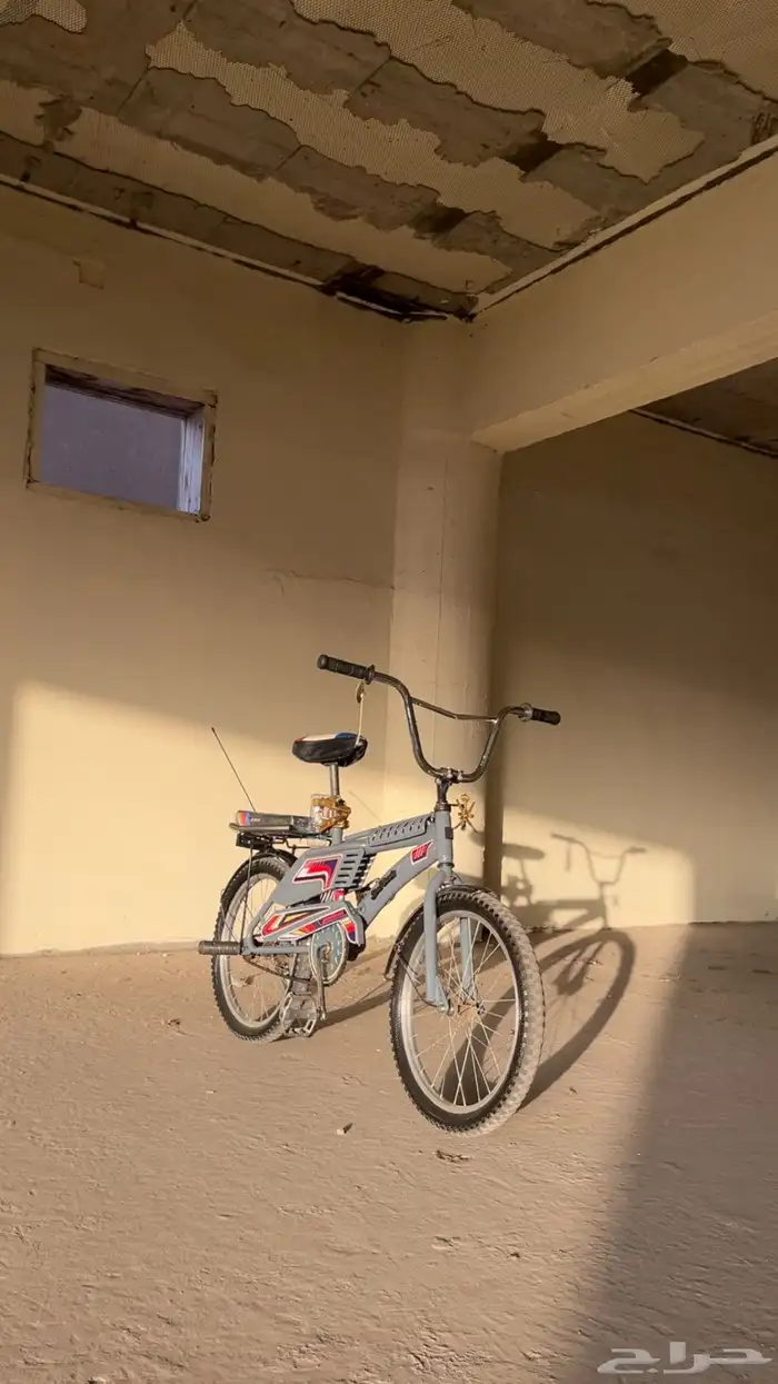 رامبو مجدد 8