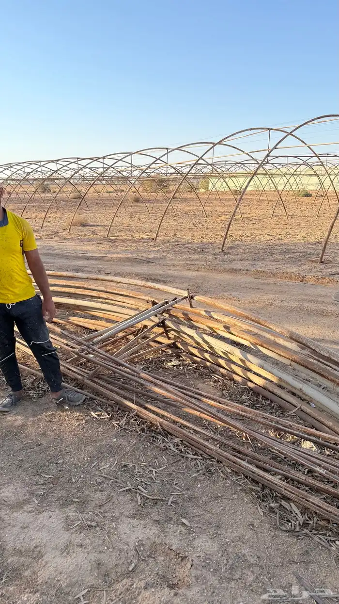 بيت محمي طول 60 متر العرض 9 ونص البيع اعلا سوم 3