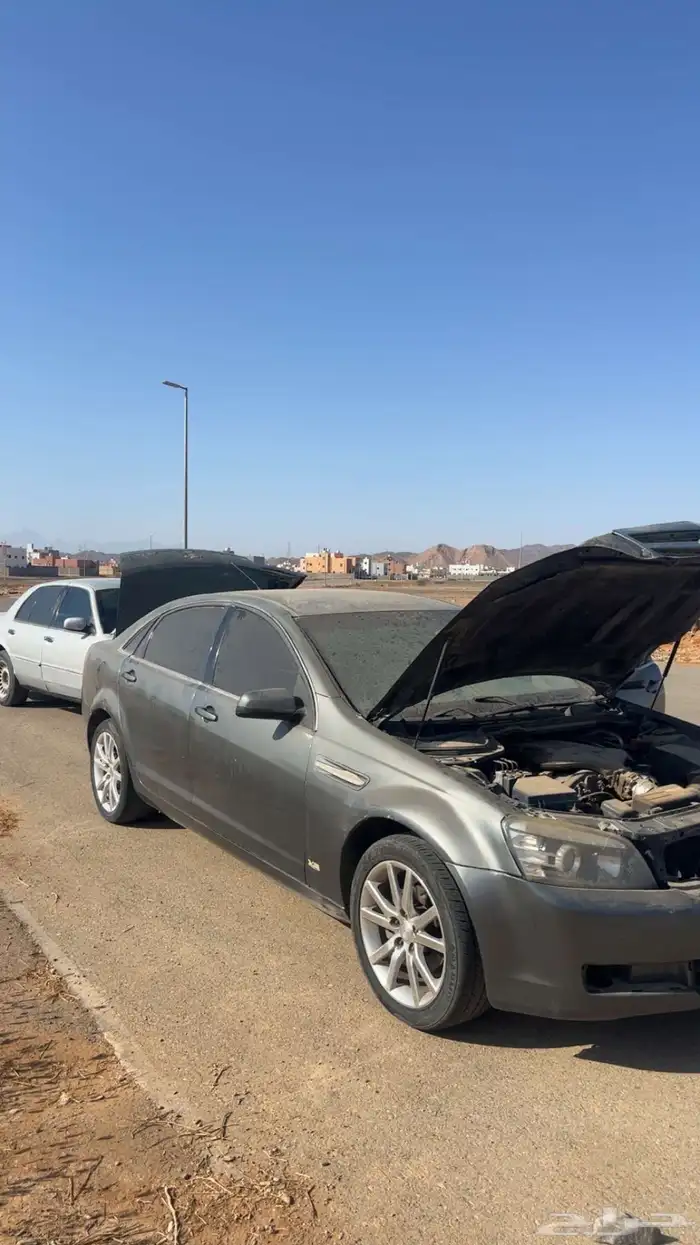 كابرس 2008 6 سرندل 0