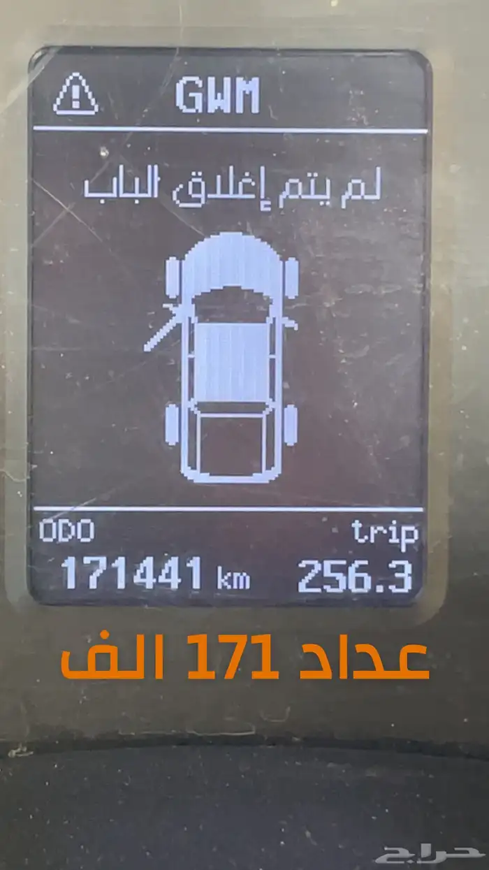 ونجل غمارتين دبل 2023 11