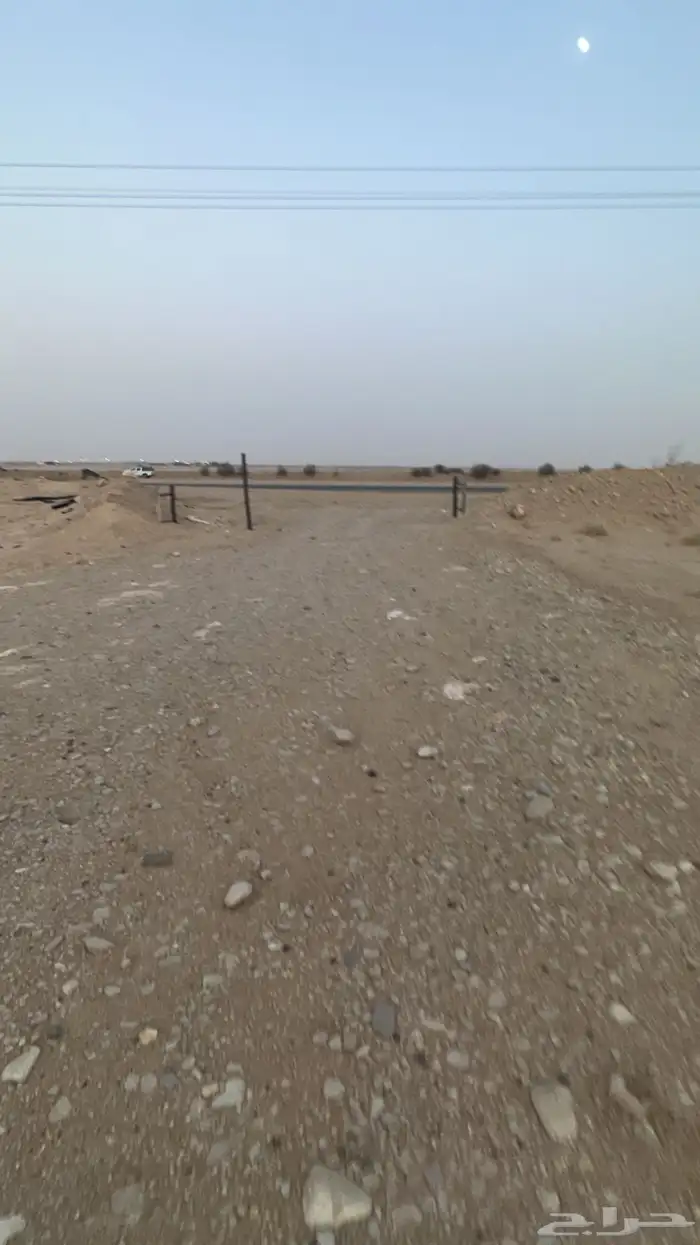 فقاسة للبيع 0