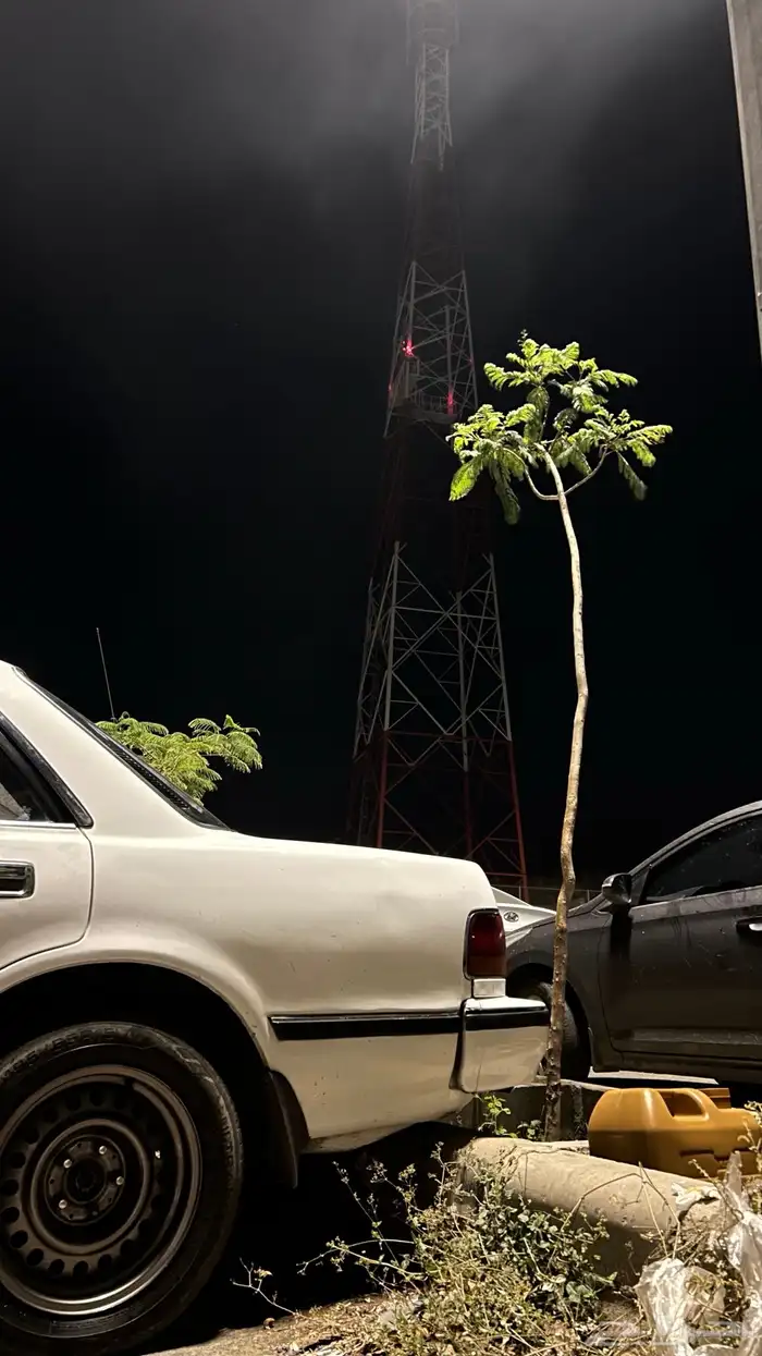 كراسيدا 1994 GL 1