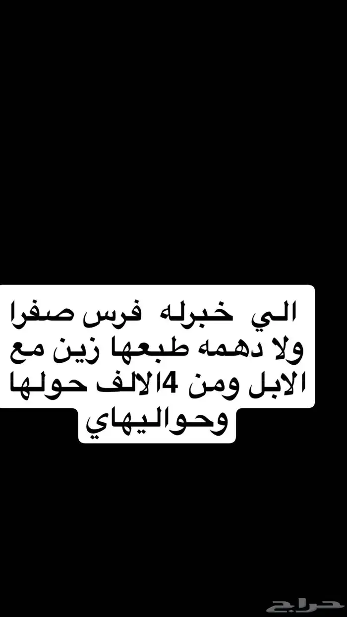 بااي مكان تواصل خاص 0