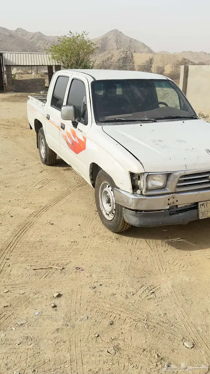 القنفذه ثلاثاء بني عيسى 2