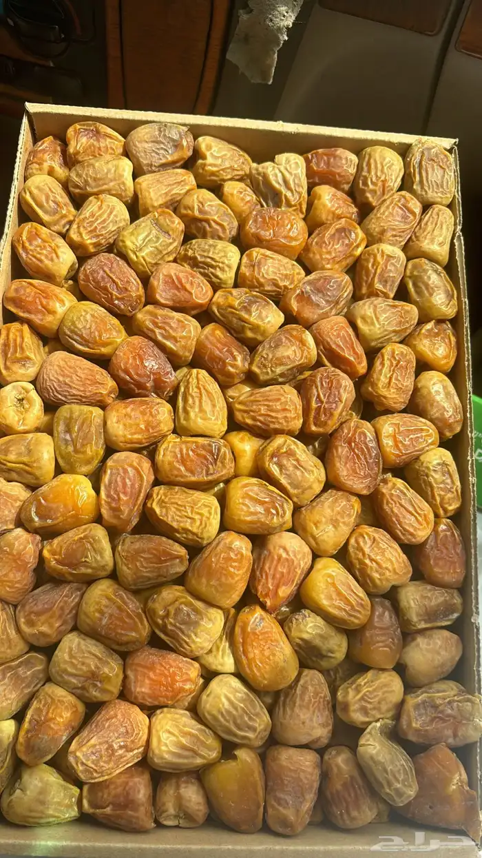 تمر سكري مفتل جديد البيع 2