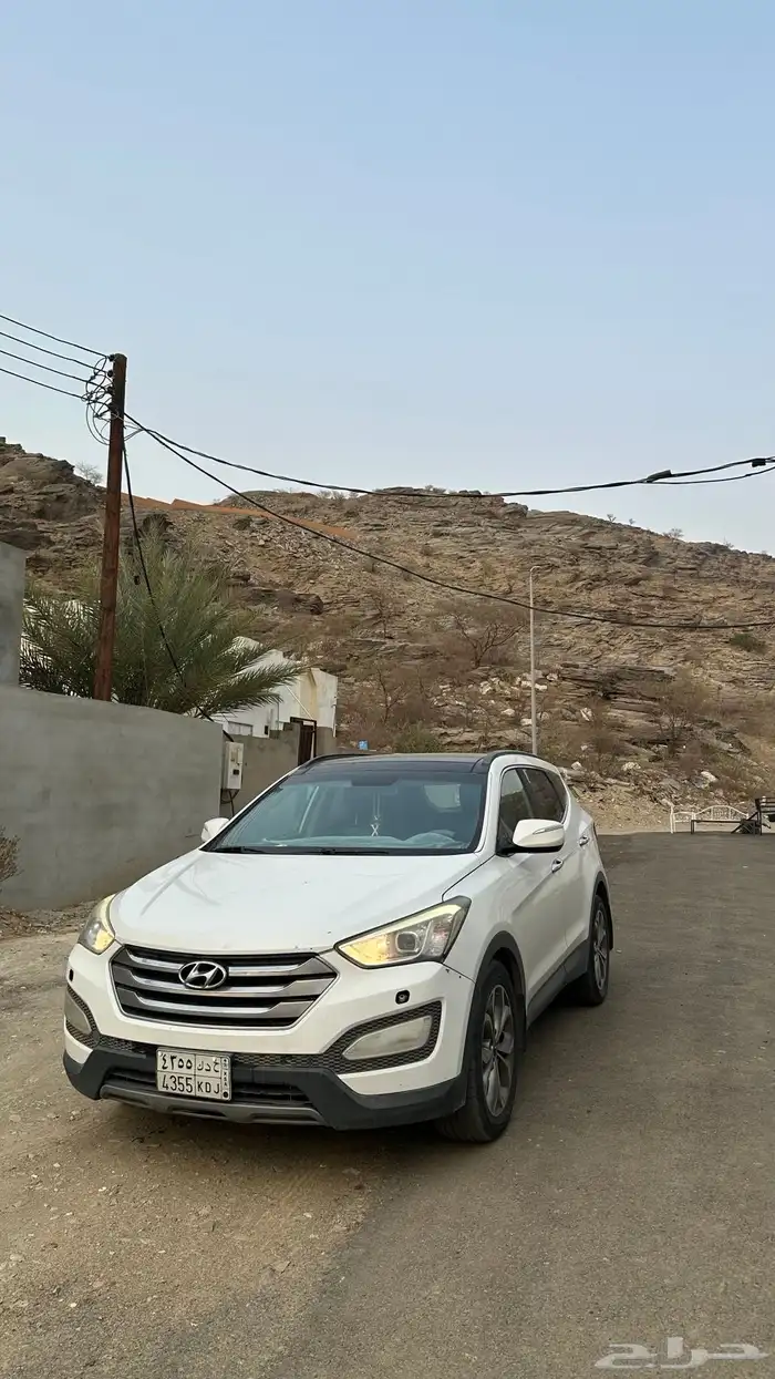 سنتافي 2014 4