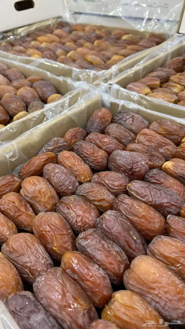 عجوه مجدول فاخر 2