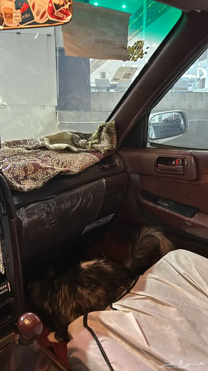 كراسيدا 1994 GL 6