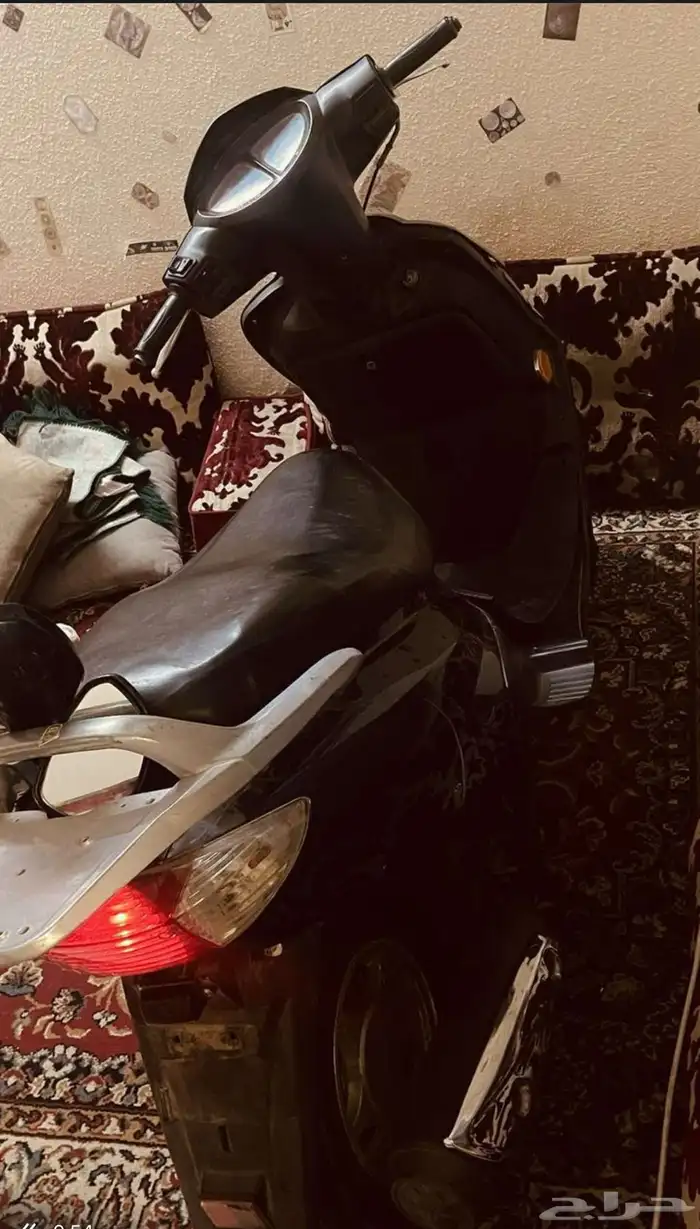 القرينيه 0