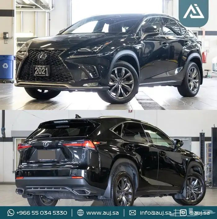 2022 Lexus NX 300 F SPORT 1