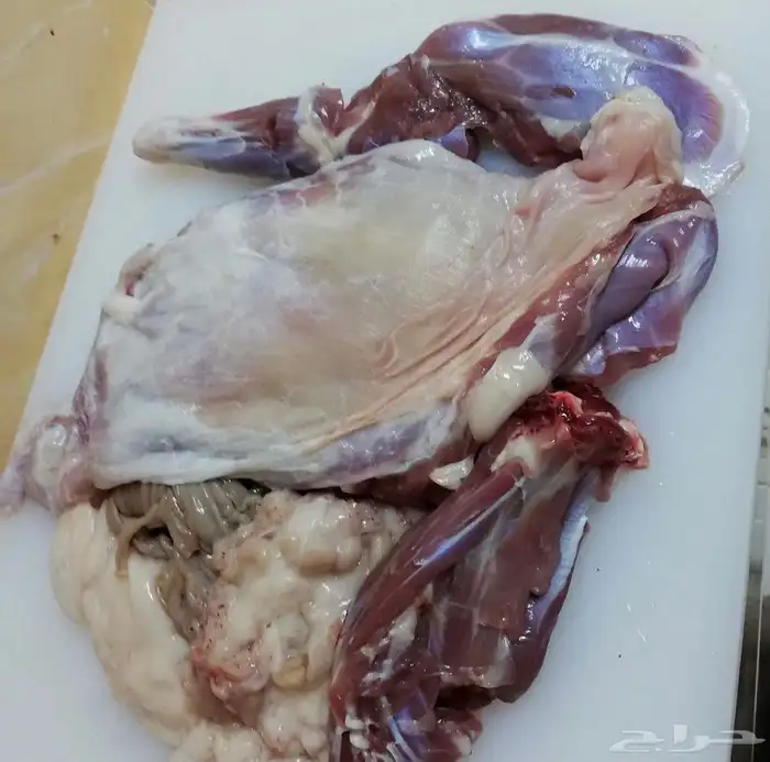 ذبايح طريق الملك عبدالله يوجد ذبح وتوصيل 5