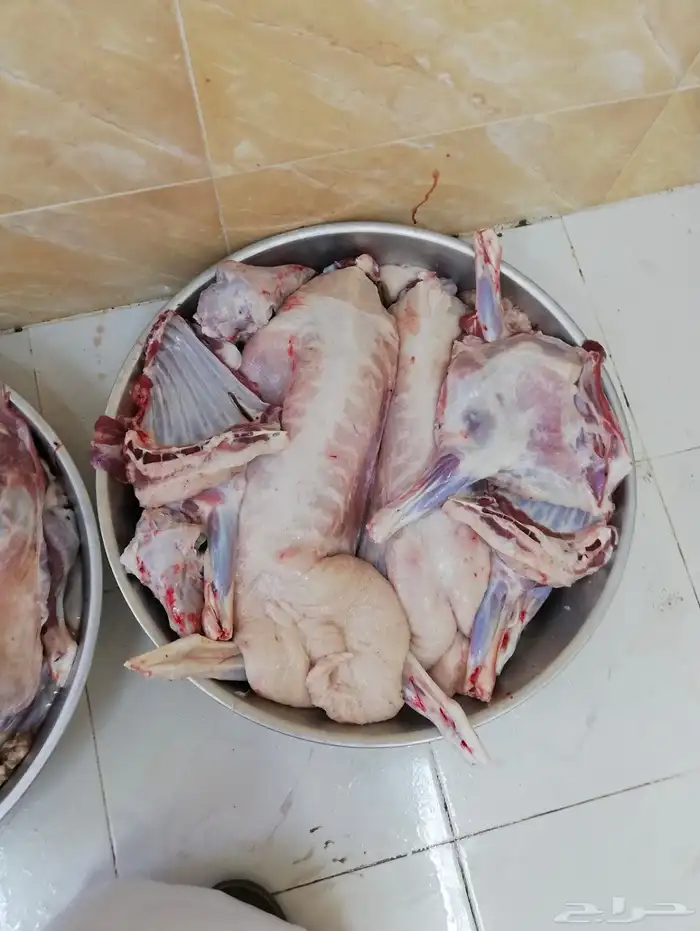 ذبايح طريق الملك عبدالله يوجد ذبح وتوصيل 4