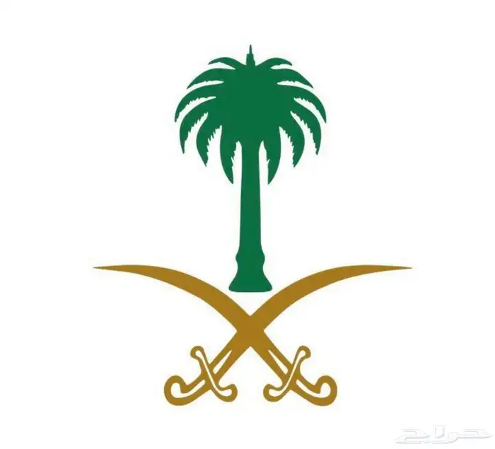 مدرب قيادة 0