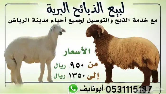 ذبايح بريات شرط مع خدمه السلخ والتوصيل 0