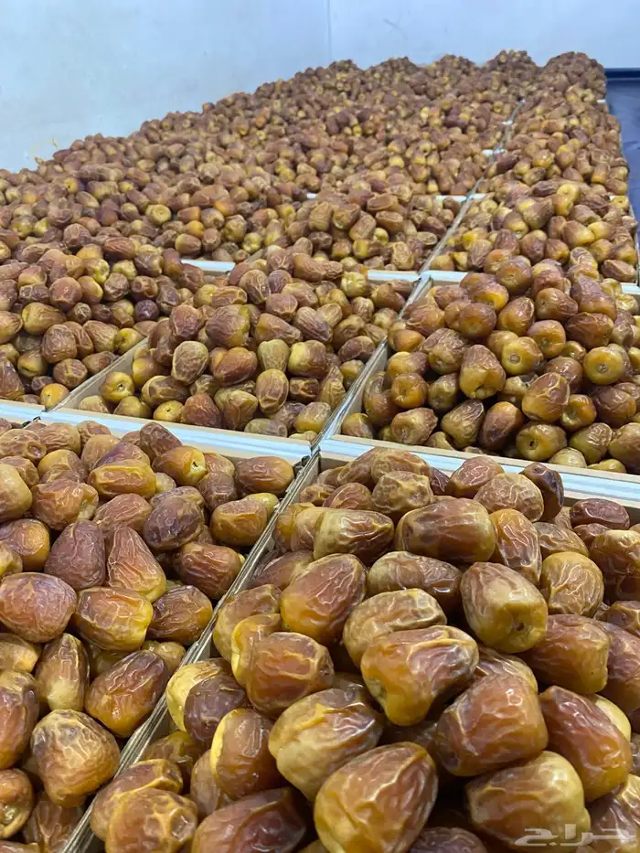 تمر سكري جالكسي فاخر ومفتل درجة اولى 1