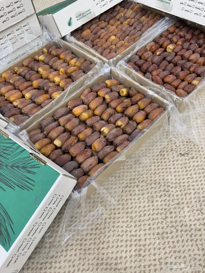 عجوه مجدول فاخر 4