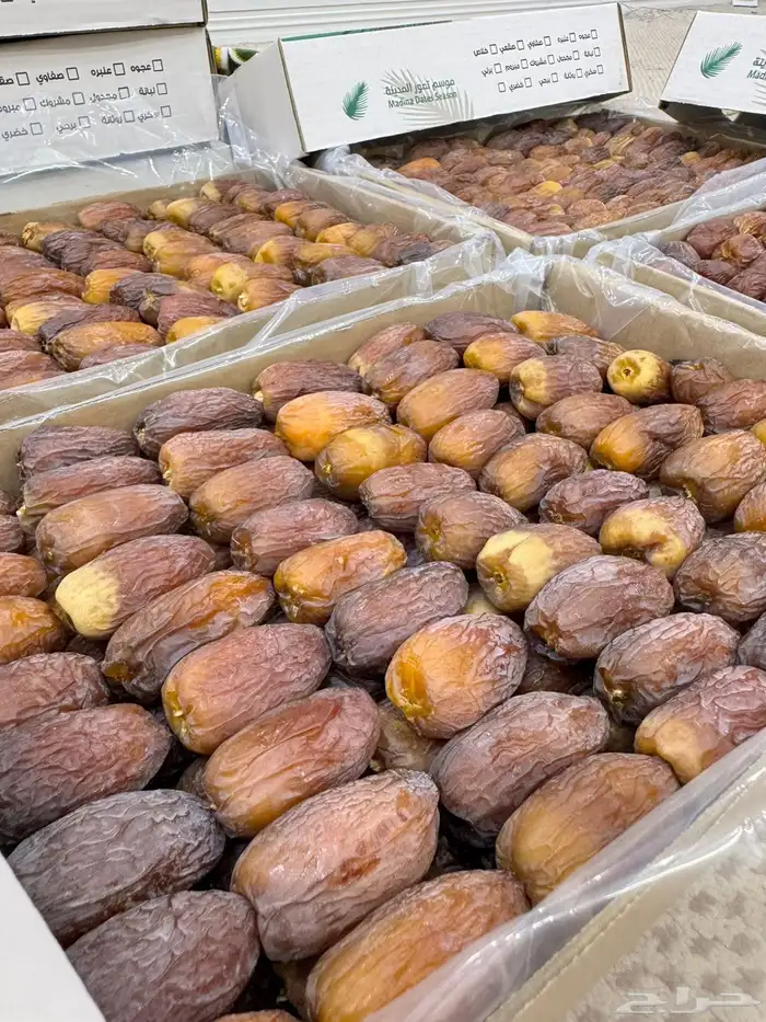 عجوه مجدول فاخر 0