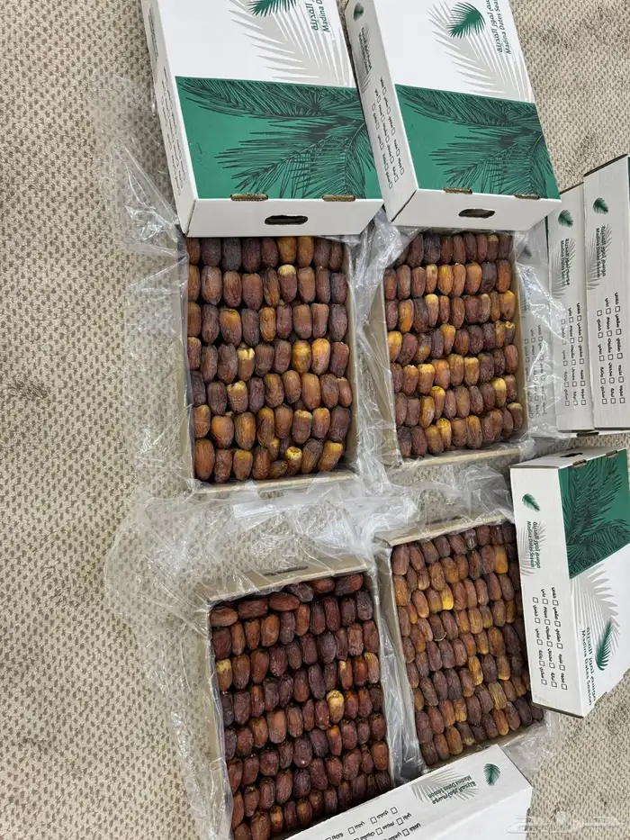 عجوه مجدول فاخر 3